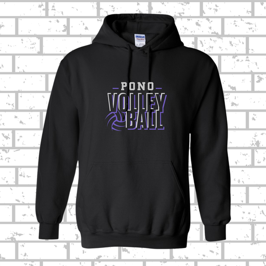Volleyball is Favorite Season Hoodie